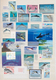 Thematik: Tiere-Meeressäuger (u.a. Wale) / Animals-aquatic Mammals: 1980/2012 (ca.), WHALES AND DOLP - Andere & Zonder Classificatie