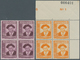 Andorra - Spanische Post: 1928/1980 (ca.), Duplicates On Nine Large Stockcards With Many Better Stam - Other & Unclassified