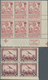 Belgien: 1849/1990 (ca.), Duplicates On Stockcards With A Great Section Classic Issues From Imperfor - Collections