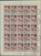 Delcampe - Belgien: 1910/1911, Caritas Issue (type Montald And Lemaire) Without Opt. And With Opts. ‚1911‘ And - Collections