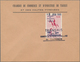 Frankreich - Besonderheiten: 1968, TARBES, POSTAL STRIKE Stamps, Lot With 8 Preprinted Envelopes "Ch - Other & Unclassified