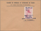 Delcampe - Frankreich - Besonderheiten: 1968, TARBES, POSTAL STRIKE Stamps, Lot With 8 Preprinted Envelopes "Ch - Sonstige & Ohne Zuordnung