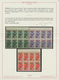 Delcampe - Italien: 1944-45, REP. SOC. ITALIANA & OCCUPATION ISSUES High Value Stamps And Blocks On Cards, Tori - Colecciones