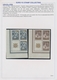 Kroatien: 1941/1945, Specialised U/m Collection On Written Up Album Pages, Comprising Overprint Sets - Kroatien