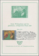 Delcampe - Österreich: 1950/1990. Hochwertige Belege-Sammlung CHRISTKINDL In Album. Dabei Brief Vom 22.12.50, Z - Colecciones