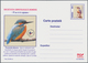 Rumänien - Ganzsachen: 2000 Ca. 650 Unused Postal Stationery Cards And Envelopes, Mostly With Specia - Enteros Postales