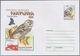 Rumänien - Ganzsachen: 2001 Ca. 660 Unused Postal Stationery Cards And Envelopes, Mostly With Specia - Postal Stationery