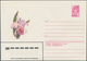 Sowjetunion - Ganzsachen: 1966/91 Ca. 1.400 Mostly Unused Postal Stationery Covers, Also With Specia - Non Classés