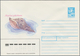 Sowjetunion - Ganzsachen: 1987 Approx. 800 Unused Postal Stationery Envelopes With Many Different Pi - Non Classés