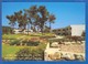 Israel; Neve Ilan; Hilltop Resort; Gateway To Jerusalem - Israel