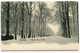 CPA - Carte Postale - Belgique - Bruxelles - Vue Du Parc, L'Hiver - 1903 (B8857) - Foreste, Parchi, Giardini