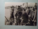 Delcampe - Une Dizaine De Photos Cartes De La  Liberation Ete 44 - Normandie  Guerre 39-45 - 1939-45