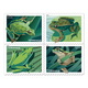 US Stamps 2019. - Frogs. Booklet (20 Stamps) - Pre-order. - 1981-...
