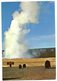 CPSM       YELLOWSTONE NATIONAL PARK            OLD FAITHFUL AND BEARS      OURSON ET OURSONS - Yellowstone