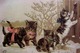 Cpa Gaufrée ADORABLE FAMILLE CHAT , PETITS CHATS A LA PORTE , 1902 ,  DRESSED CAT KITTEN   Early Pc KATZE Embossed - Chats