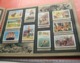 SCOUTS,  Full Album With Glued Vignettes Around 1950, Only One Card Is Missing, All Around 1950, VG,  B.D. - Collections