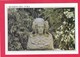 Modern Post Card Of Dama De Elche Huerto Del Cura ,L60. - Unclassified