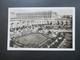 Echtfoto AK Versailles Verwendet Im Saarland 1953 Nr. 279 MeF Stempel Saarmesse Internationale Mustermesse - Brieven En Documenten