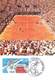 Delcampe - France Lot De 58 Cartes Carte Maximum Card Année 1978 Sabine Roland Garros  Tableau Croix Rouge ... - 1970-1979