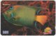 MALAYSIA A-618 Magnetic Telekom - Animal, Sea Life, Fish - 19MSAA - Used - Malaysia