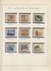 Delcampe - China - Volksrepublik: 1954/63, Collection With Many Duplicates In 4 Albums Starting From C91, With - Other & Unclassified