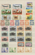 Delcampe - Saudi-Arabien: 1920-2000, Collection On Cards Starting Early Overprinted Issues Hejaz & Nejd Includi - Saudi-Arabien