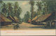 Singapur: 1910 From, Accumulation Of 29 Old Picture-postcards Including Panorama Double-card, Unused - Singapore (...-1959)
