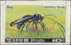 Thematik: Tiere-Insekten / Animals-insects: 1880/2000 (ca.), SPIDERS, Balance Of Stamps And Covers, - Andere & Zonder Classificatie
