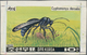 Thematik: Tiere-Insekten / Animals-insects: 1880/2000 (ca.), SPIDERS, Balance Of Stamps And Covers, - Sonstige & Ohne Zuordnung