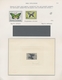 Delcampe - Thematik: Tiere-Schmetterlinge / Animals-butterflies: 1645/1990 (ca.), Extraordinary Exhibit On Appr - Vlinders