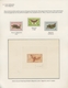 Delcampe - Thematik: Tiere-Schmetterlinge / Animals-butterflies: 1645/1990 (ca.), Extraordinary Exhibit On Appr - Vlinders