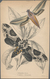 Thematik: Tiere-Schmetterlinge / Animals-butterflies: 1870/2000 (ca.), Sophisticated Holding Of Appr - Butterflies