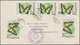 Delcampe - Thematik: Tiere-Schmetterlinge / Animals-butterflies: 1870/2000 (ca.), Sophisticated Holding Of Appr - Vlinders