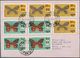 Delcampe - Thematik: Tiere-Schmetterlinge / Animals-butterflies: 1870/2000 (ca.), Sophisticated Holding Of Appr - Butterflies