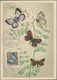 Delcampe - Thematik: Tiere-Schmetterlinge / Animals-butterflies: 1890/2000 (ca.), Holding Of Apprx. 550 Themati - Schmetterlinge