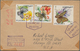 Thematik: Tiere-Schmetterlinge / Animals-butterflies: 1950/2000 (ca.), Holding Of Apprx. 500+ Covers - Mariposas