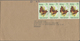 Thematik: Tiere-Schmetterlinge / Animals-butterflies: 1950/2000 (ca.), Holding Of Apprx. 500+ Covers - Vlinders