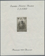 Delcampe - Rumänien: From 1858: Enormously Collection Starting With The Classical Period Including Duplicates, - 1858-1880 Moldavia & Principado