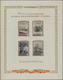 Delcampe - Russland: 1860's-2015: Comprehensive And Specialized Collection Of Mostly Mint Stamps And Souvenir S - Covers & Documents