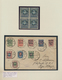 Delcampe - Russland: 1860's-2015: Comprehensive And Specialized Collection Of Mostly Mint Stamps And Souvenir S - Covers & Documents