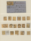 Preußen - Marken Und Briefe: 1858/1861 (ca.), Spezialisiert Zusammengetragene Sammlung Der MiNr. 12/ - Andere & Zonder Classificatie