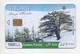 Cedars Forest 2009 Used Phonecard  Lebanon , Liban  Libanon - Liban