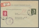 Delcampe - Dt. Besetzung II WK - Ostland: 1941/1944, Schöne Sammlung Von Ca. 200 Belegen Im Album, Dabei Einsch - Ocupación 1938 – 45