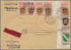 Delcampe - Französische Zone: 1945/1949, Lebhafte Und Immer Wieder Spezialisierte Sammlung In Drei Ringbindern - Otros & Sin Clasificación