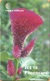 Antigua & Barbuda - ANT-C19a, Flower Celosia, GEM5 (Red), 10 EC$, 2001, Used - Antigua And Barbuda