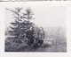 Foto Deutscher Soldat Mit Zwei Frauen Im Wald - 2. WK - 5,5*4cm  (41789) - Krieg, Militär