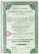 Ancienne Action - Romano Belgiana De Petrol - Roumano Belge De - Titre De 1908 - N°006.608 - Pétrole