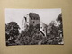 Schloss Wildegg - (5672) - Wildegg