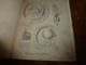 Delcampe - 1900 With Map Of The Parish Of BROMLEY : The Survey Of London: Being The First Volume Of The Register Of The Committee - 1900-1949