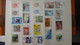 Collection Timbres Andorre (bonne Faciale En Euro) ** + Espagne ** + Nations Unies ** + Autres ** - Collections (with Albums)